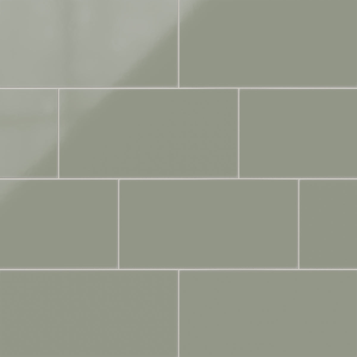 12x24 Natural Press Ceramic Tile in Terre Verte Gloss