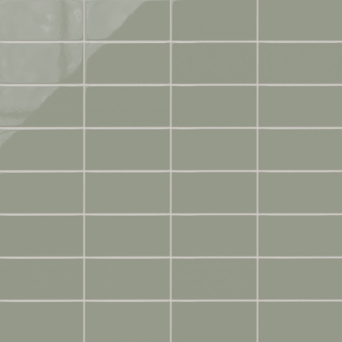 4x8 Natural Press Ceramic Tile in Terre Verte Gloss