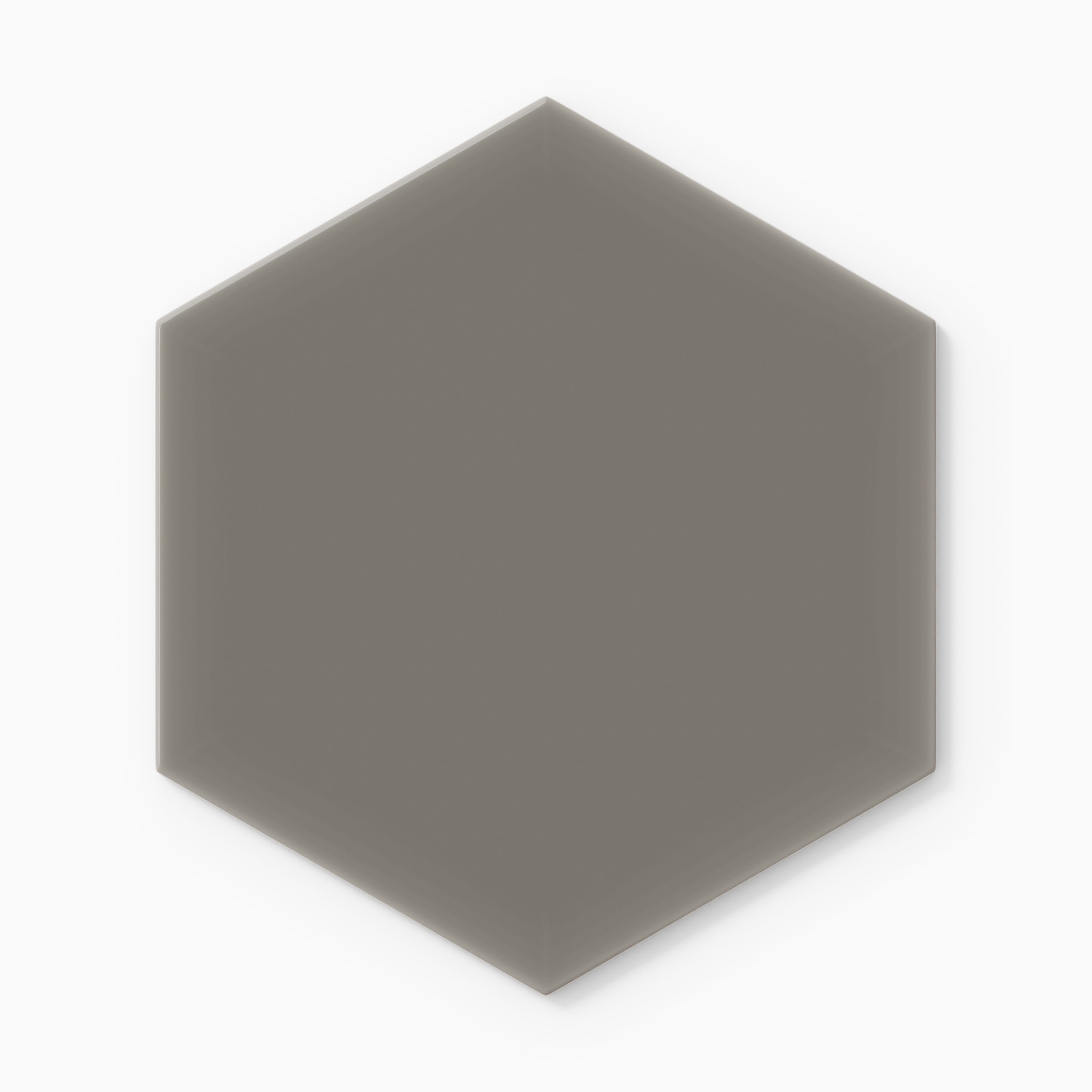 8" Hexagon Natural Press Ceramic Tile in Timberline Gloss
