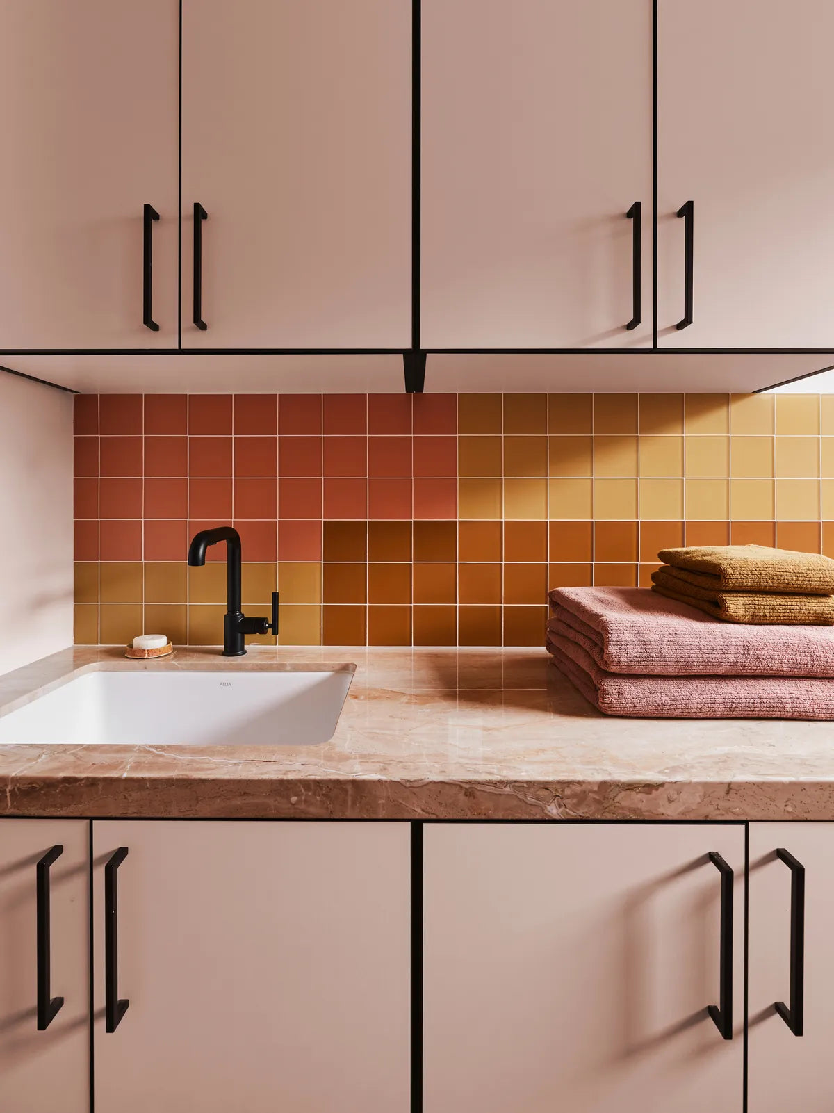 2022 img hi res WEBSITE SOCIAL USAGE ONLY design Linette Dai photo Sara Ligorria Tramp laundry room colorblock 4x4 falcon oriole carolina wren rosy finch matte FC399192 3