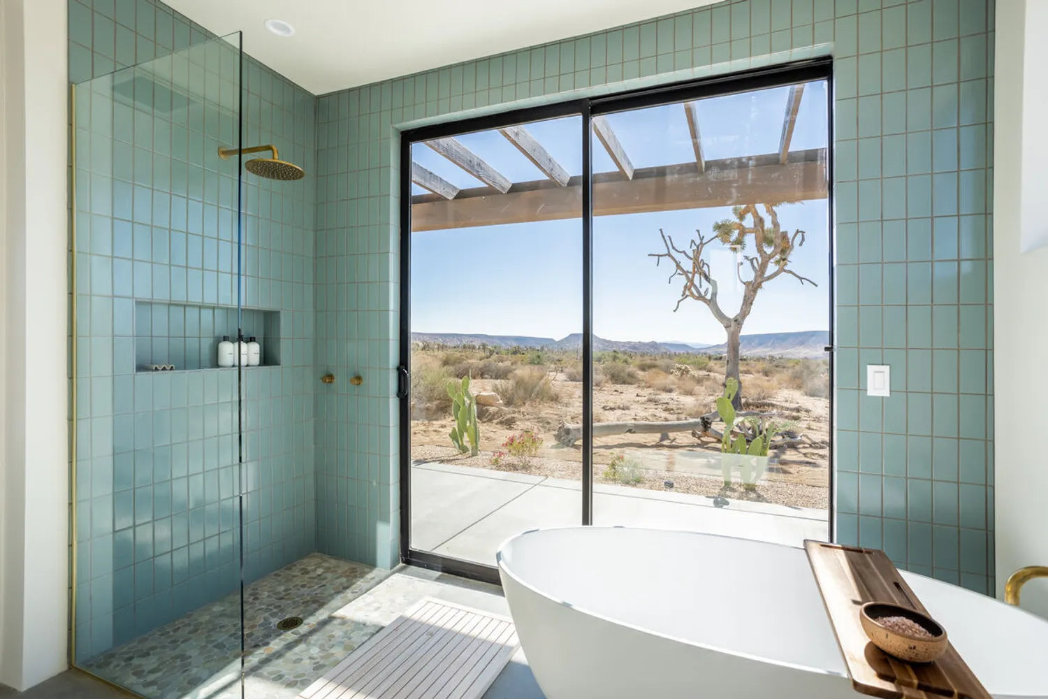 Desert modernism indoor outdoor shower