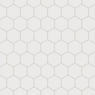 4" Hexagon Original Ceramic Tile in Calcite Matte