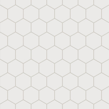 Quick Ship 4" Hexagon Original Ceramic Tile in Calcite Matte
