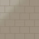 4x6 Glass Tile in Quail Matte