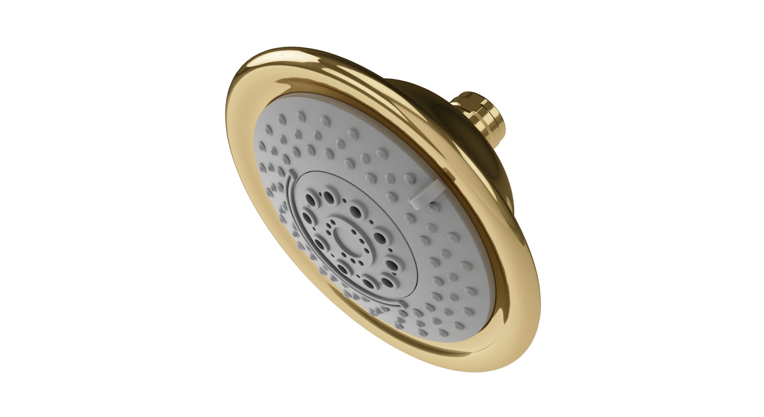 Shower Traditional Multi-Function Shower Head in Polished Brass
