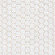 1" Hexagon Sheeted Original Ceramic Mosaic Tile in Frost Gloss