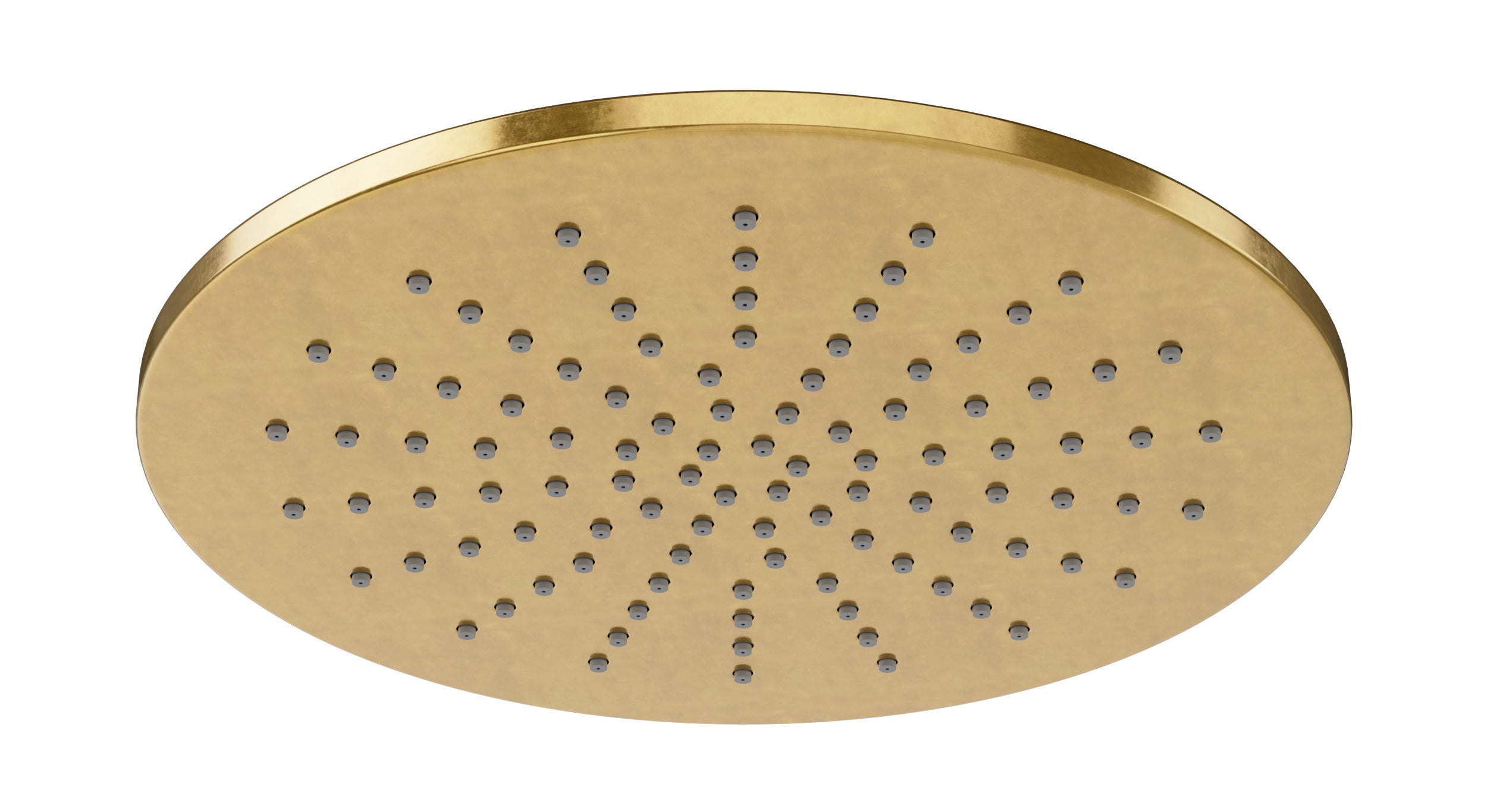 Shower 8" Flat Shower Head in French Brass