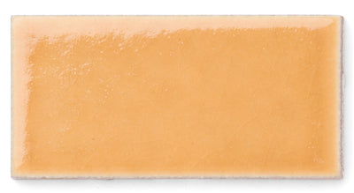 2x4 Sample in Koi Gloss