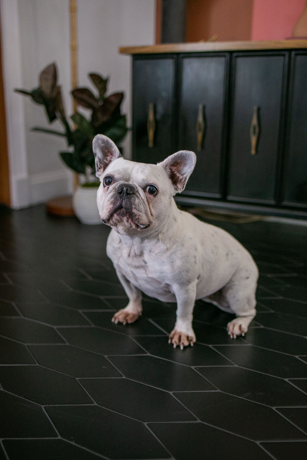 Picket Original Ceramic Tile in Raven Matte