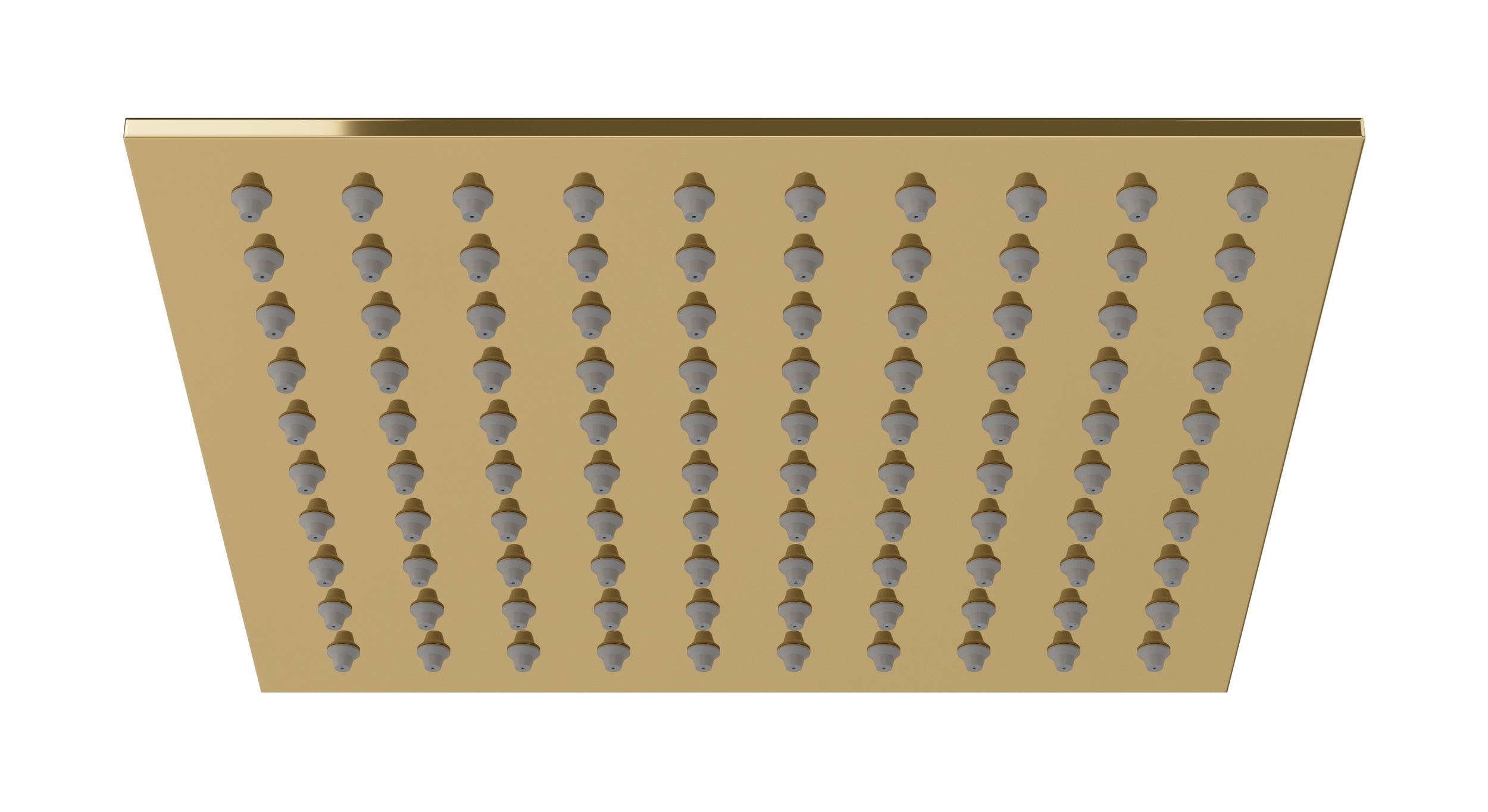 Flatiron 8" Shower Head in Polished Brass