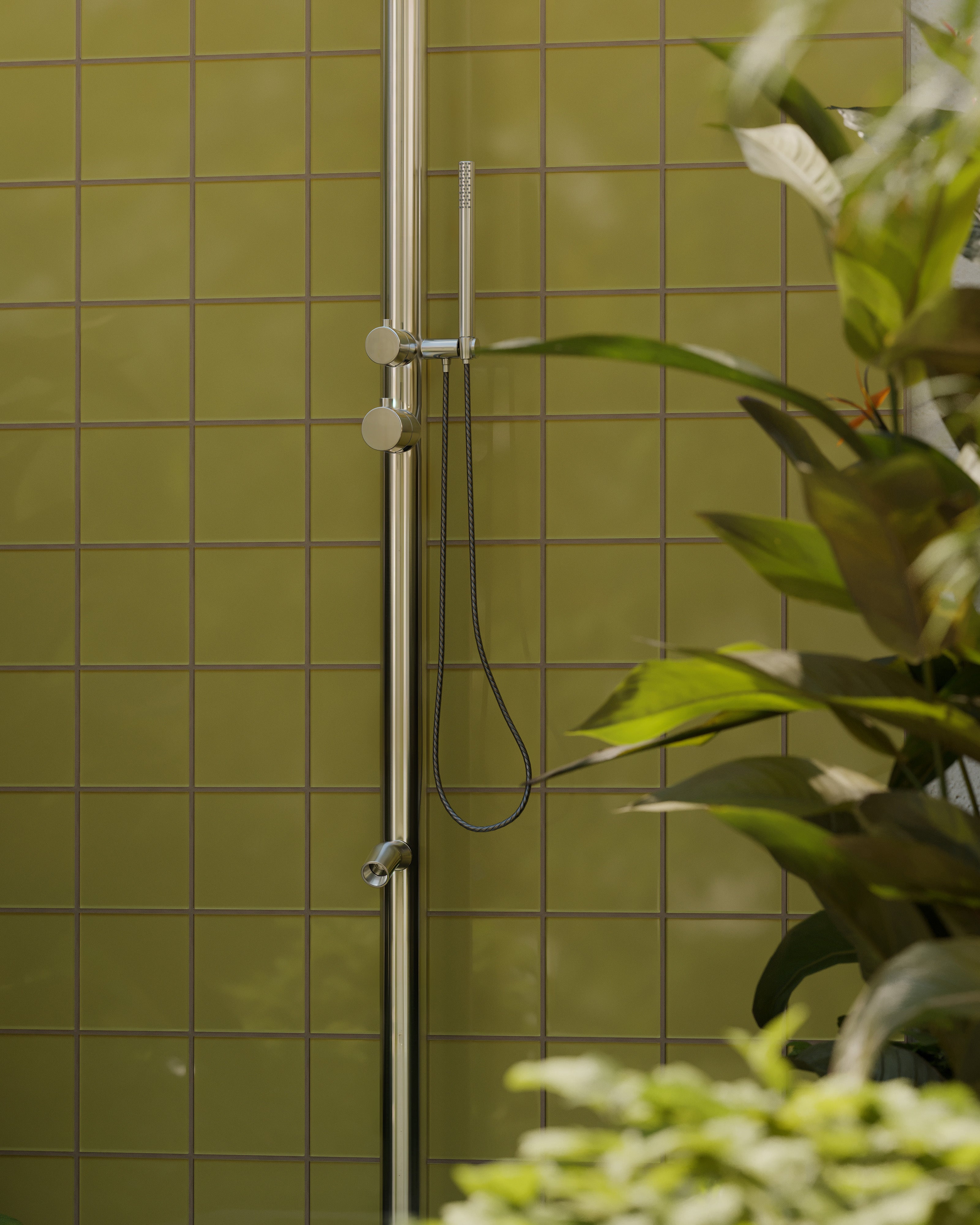 6x6 Glass Tile in Pine Siskin Gloss