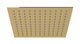 Flatiron 12" Shower Head in Polished Brass