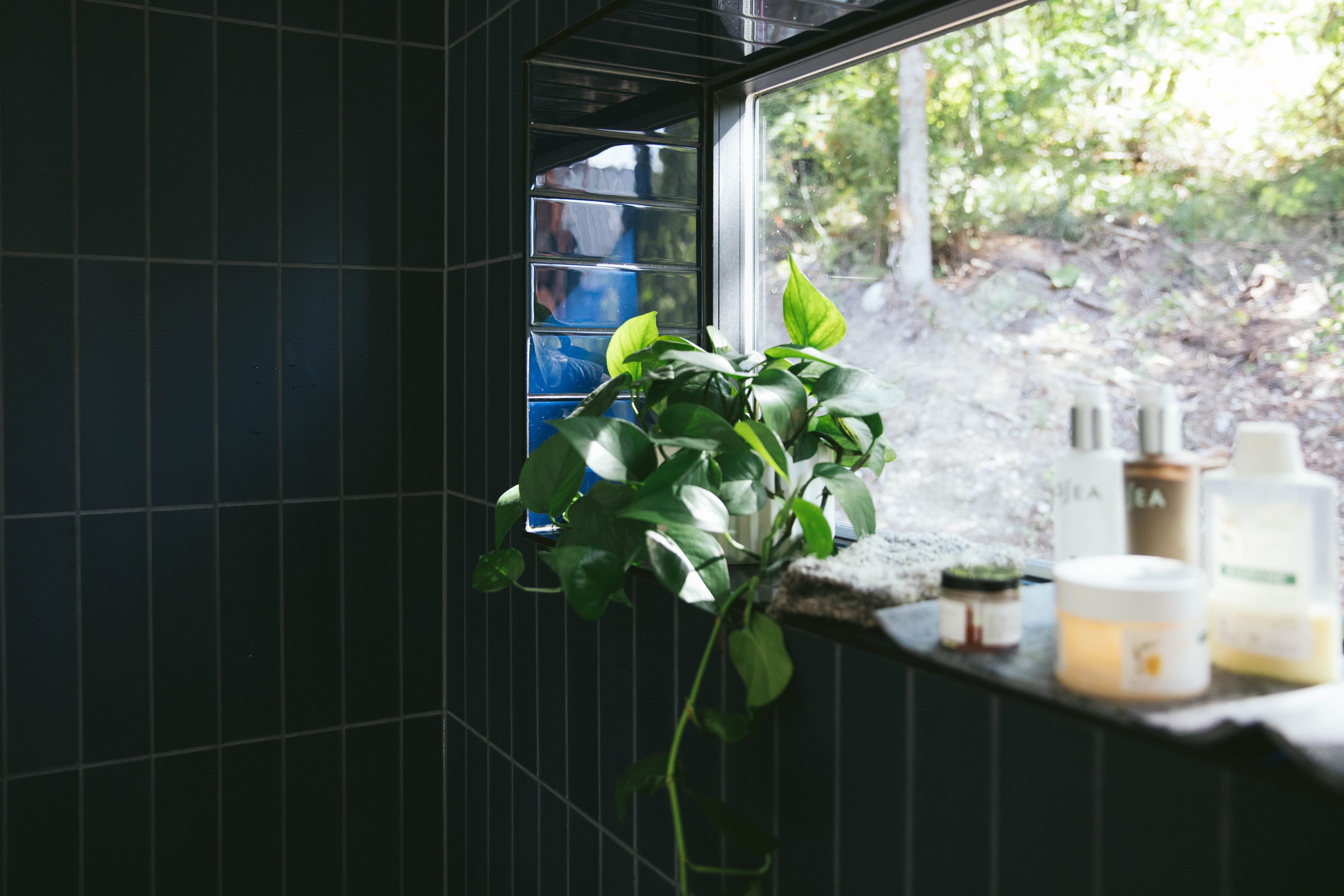 3x12 Glass Tile in Barn Swallow Gloss