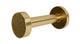 Flatiron Round Robe Hook in Satin Brass
