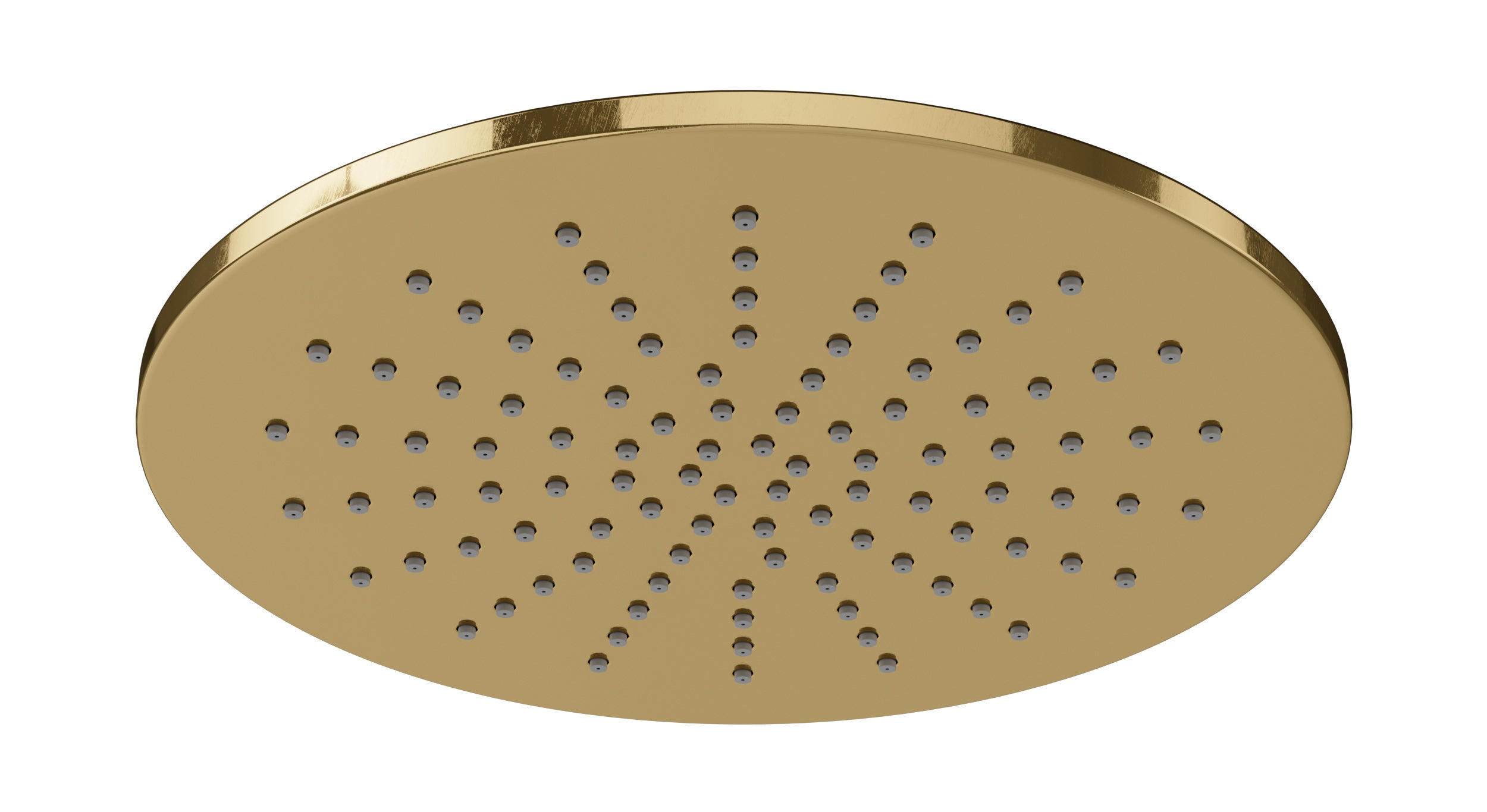 Shower 8" Flat Shower Head in Uncoated Polished Brass