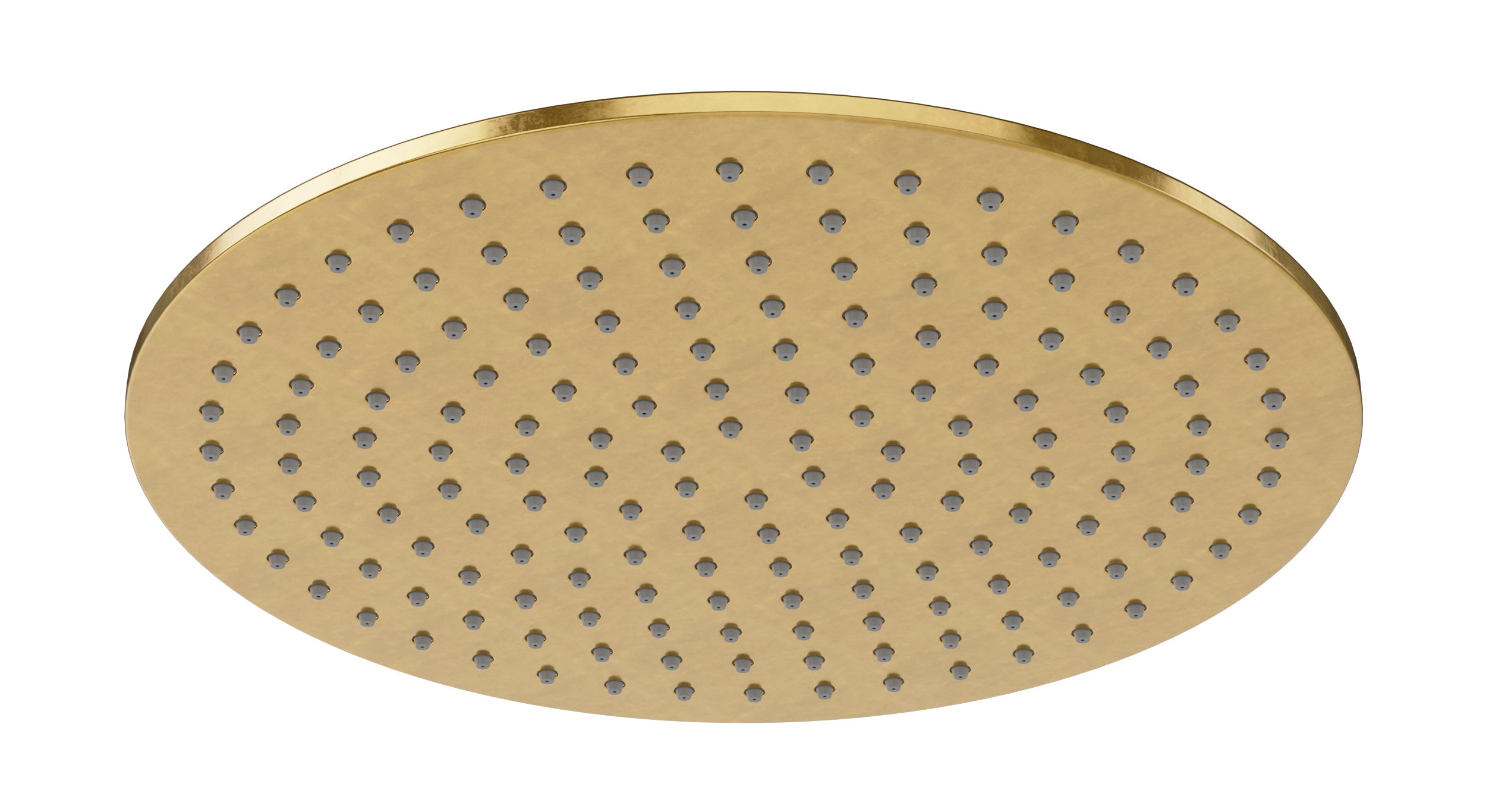 Shower 12" Flat Shower Head in French Brass