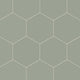 8" Hexagon Natural Press Ceramic Tile in Terre Verte Matte