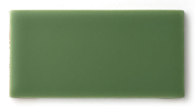 2x4 Sample in Kelp Matte