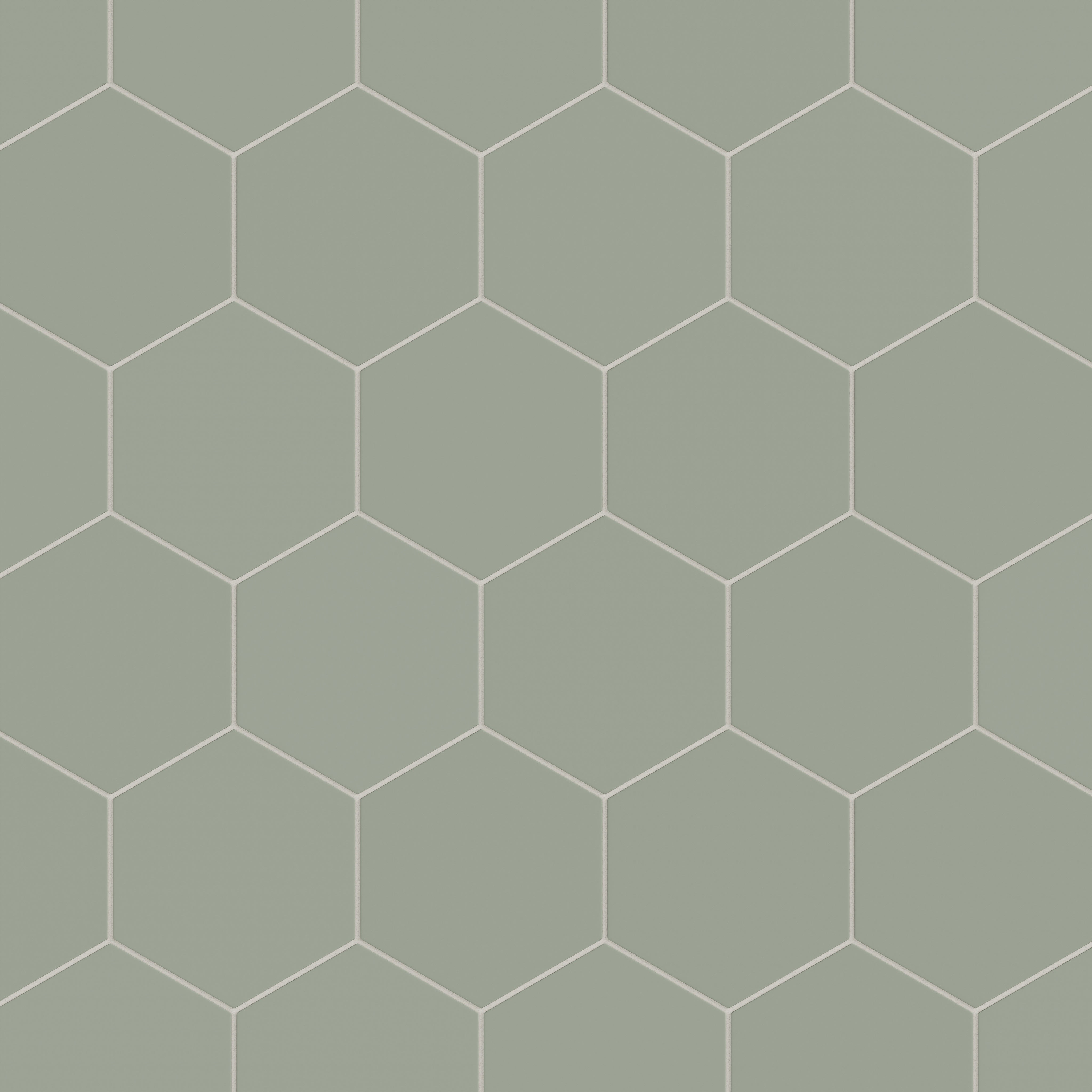 8" Hexagon Natural Press Ceramic Tile in Terre Verte Matte