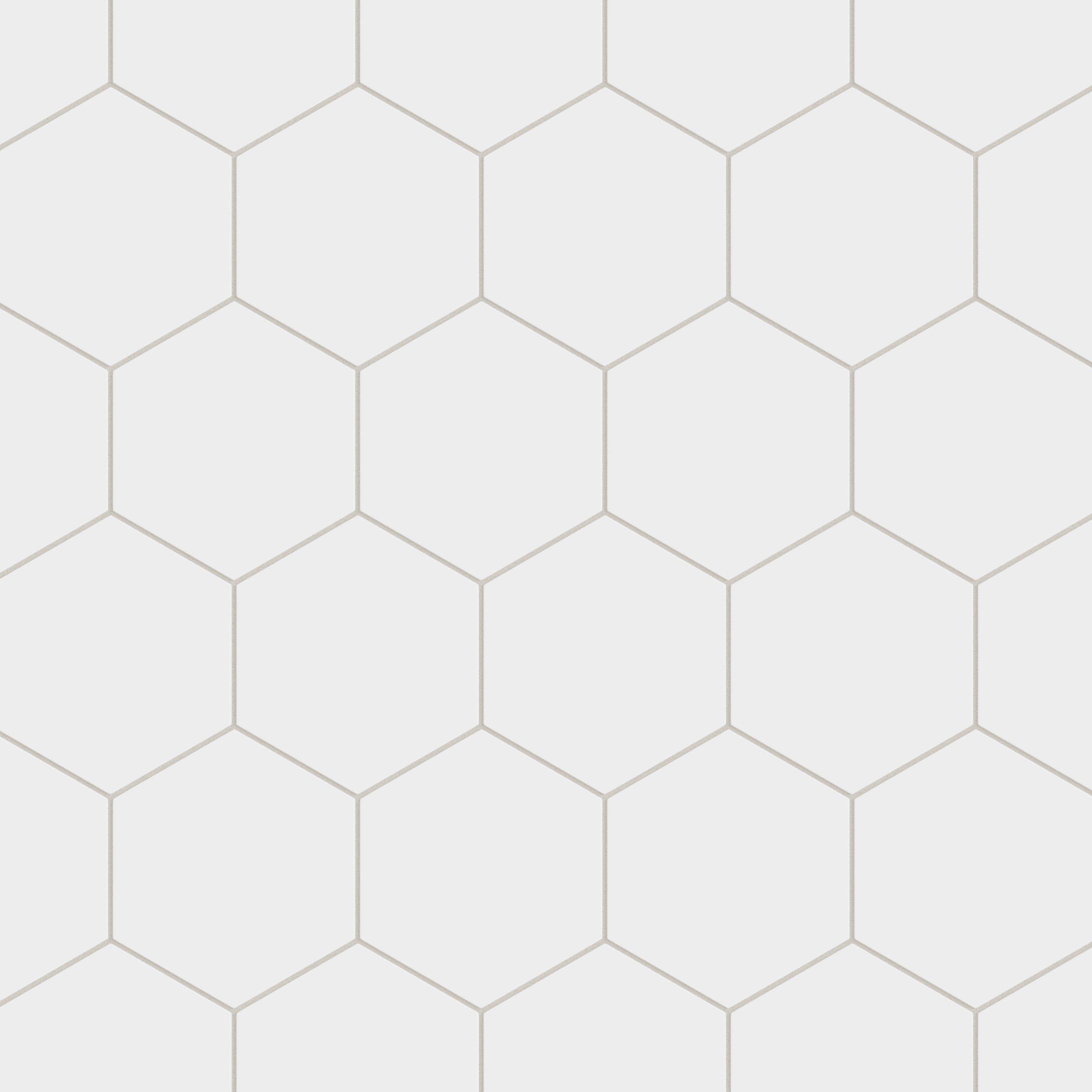 8" Hexagon Natural Press Ceramic Tile in Salt Creek Matte