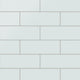 4x12 Glass Tile in Warbler Matte
