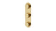 Foundry Three Handle Wall Mount Shower Trim with Barrel Knob Handles in Polished Brass