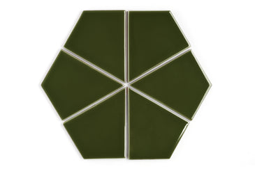 Hexite Original Ceramic Tile in Lone Pine Gloss