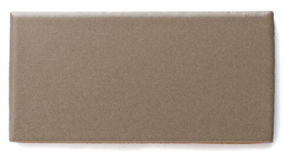 2x4 Sample in Sandstone Matte