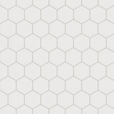 4" Hexagon Original Ceramic Tile in Frost Matte