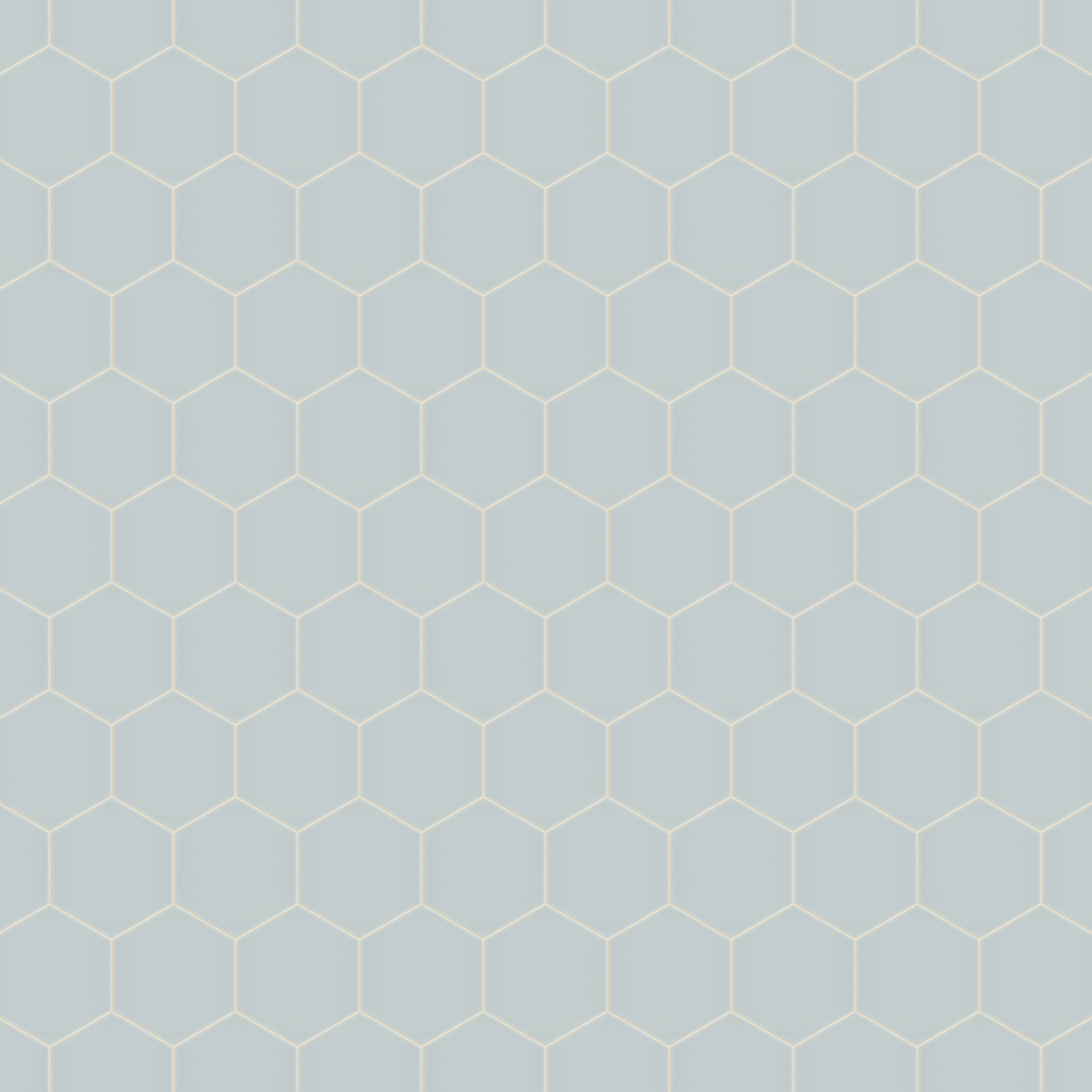 8" Hexagon Natural Press Ceramic Tile in Hood River Matte