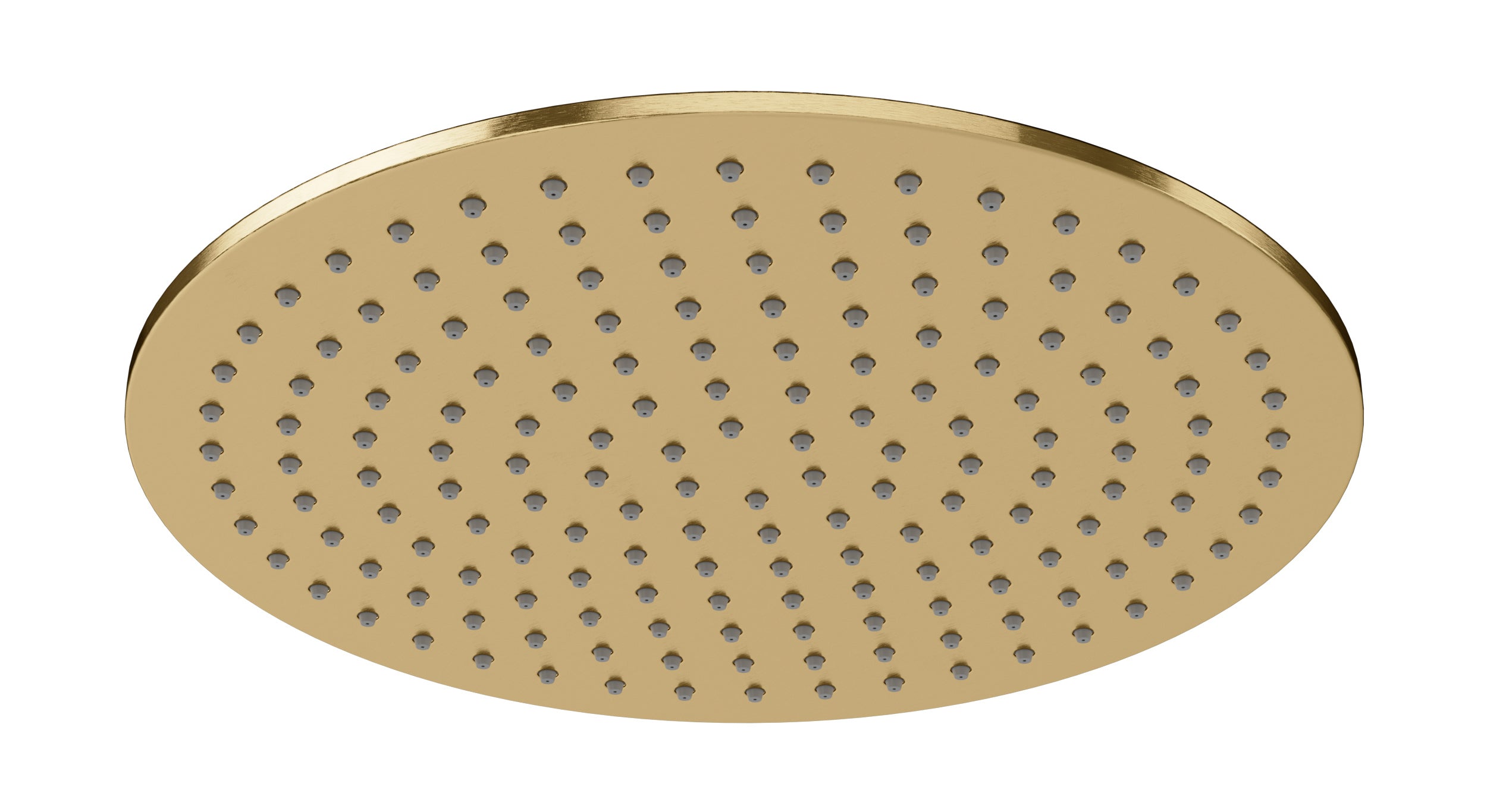 Shower 12" Flat Shower Head in Satin Brass