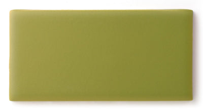 2x4 Sample in Palm Tree Matte