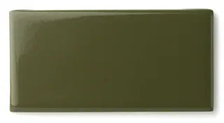 Bonsai Gloss