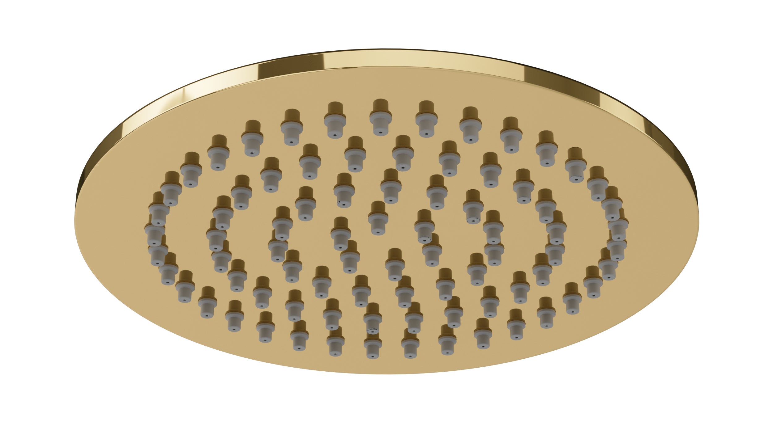 Shower 6" Flat Shower Head in Polished Brass