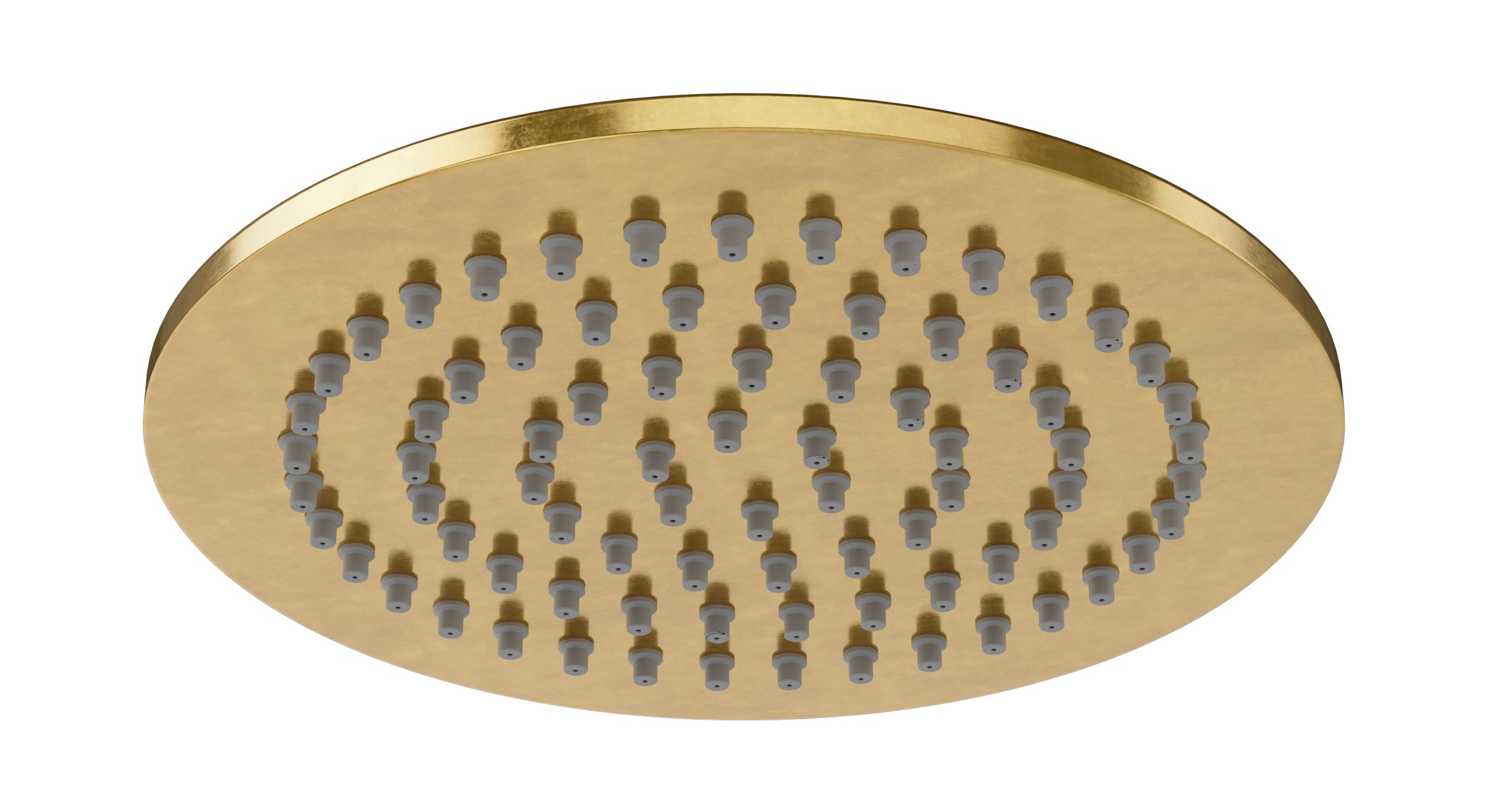 Shower 6" Flat Shower Head in French Brass