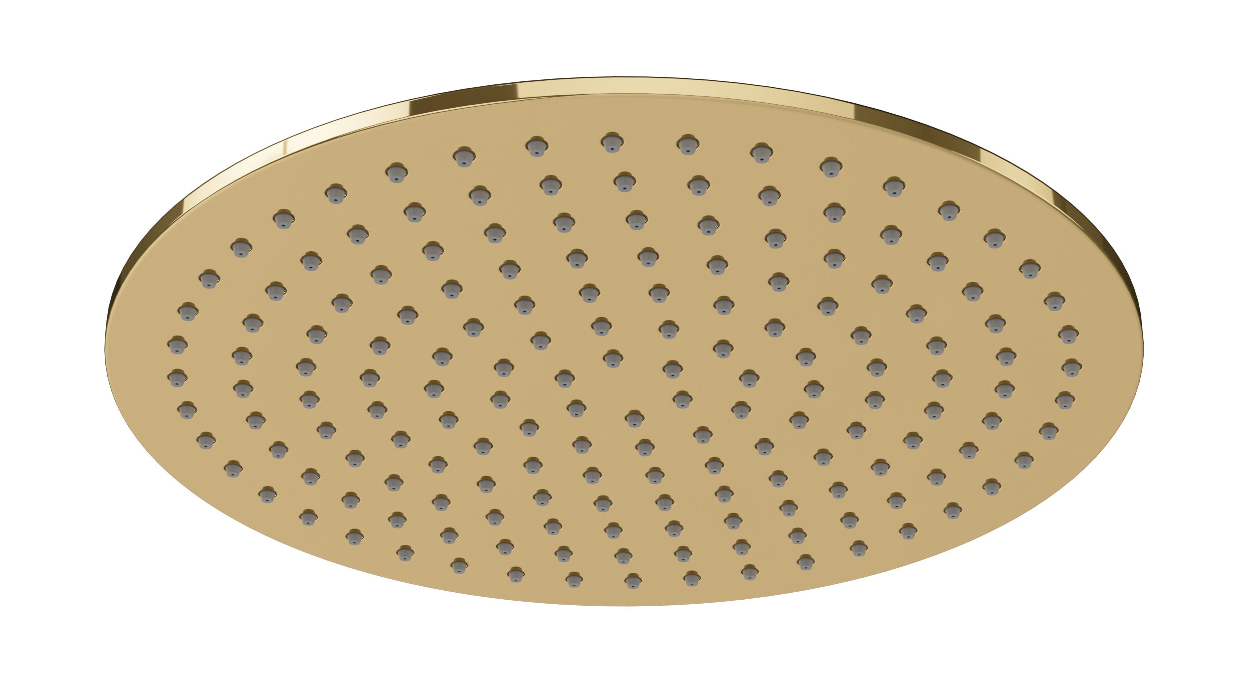 Shower 12" Flat Shower Head in Polished Brass