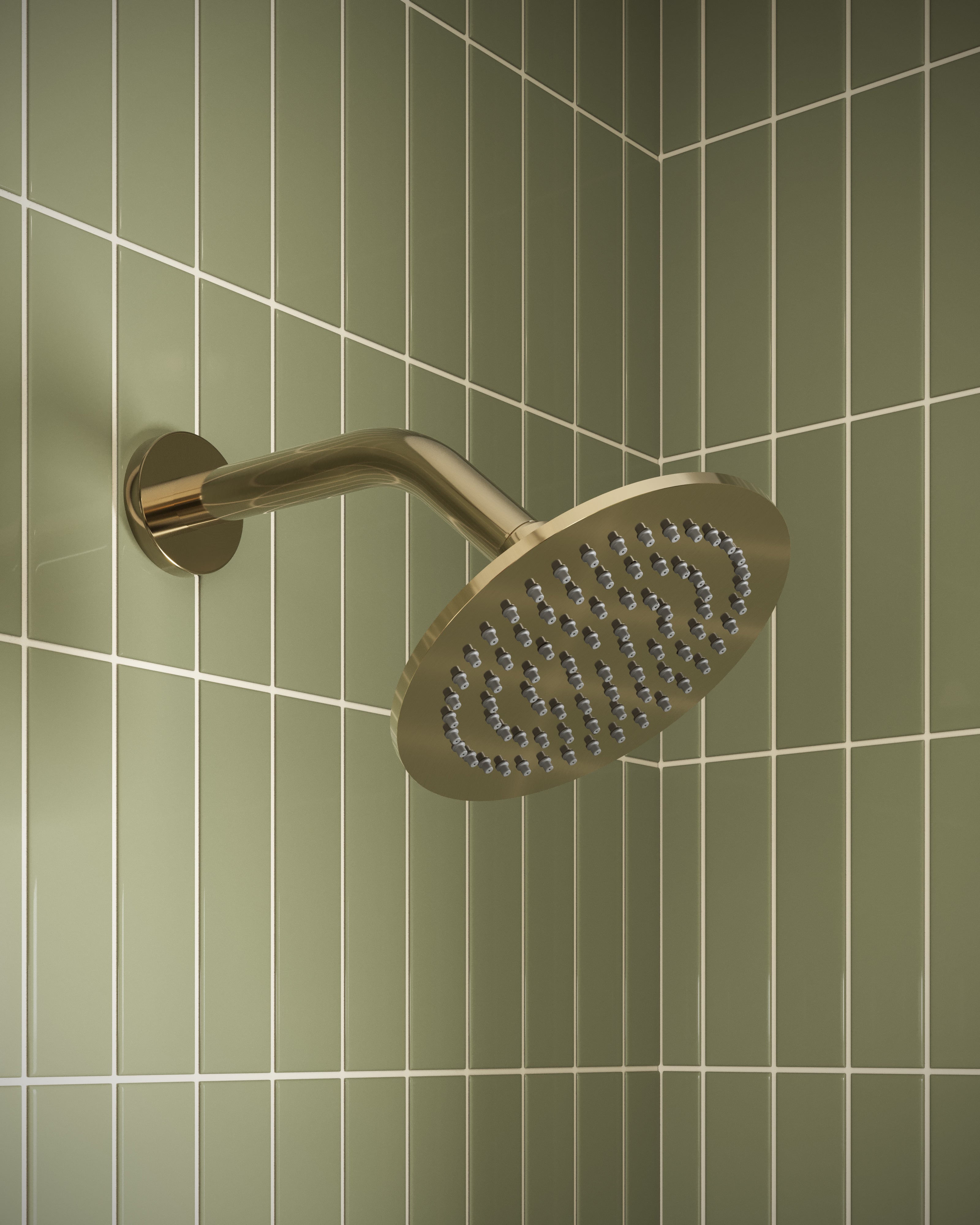 Shower 6" Flat Shower Head in Polished Brass