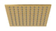 Flatiron 8" Shower Head in French Brass
