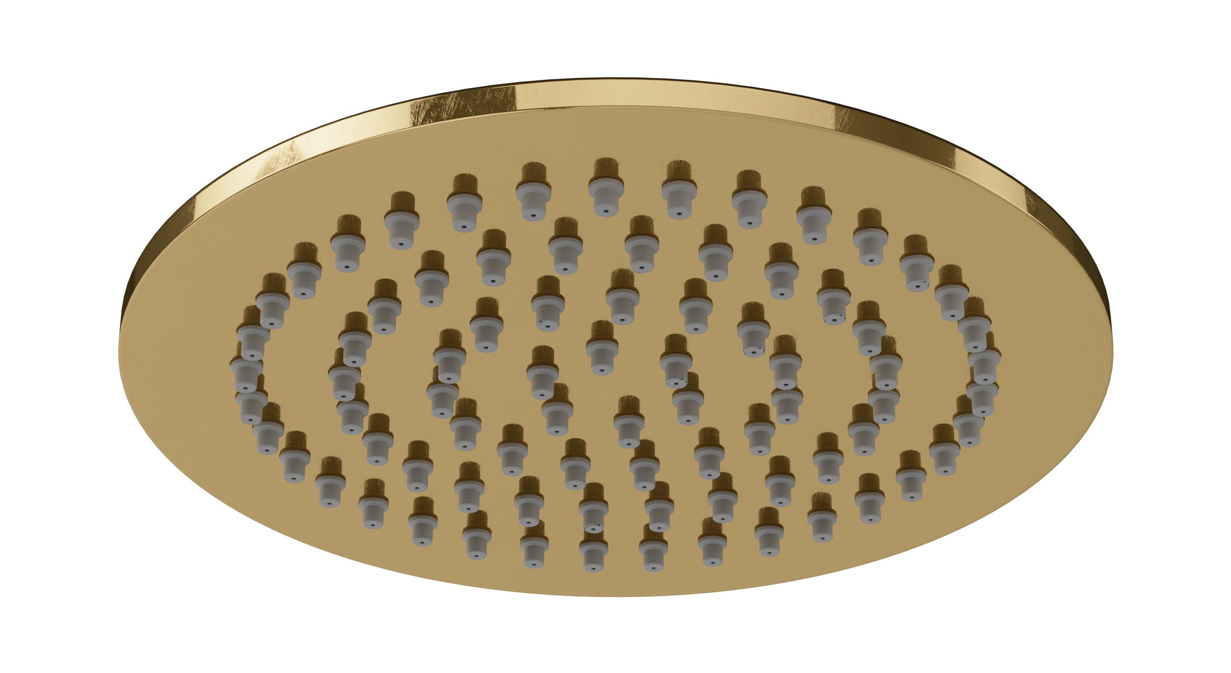 Shower 6" Flat Shower Head in Uncoated Polished Brass