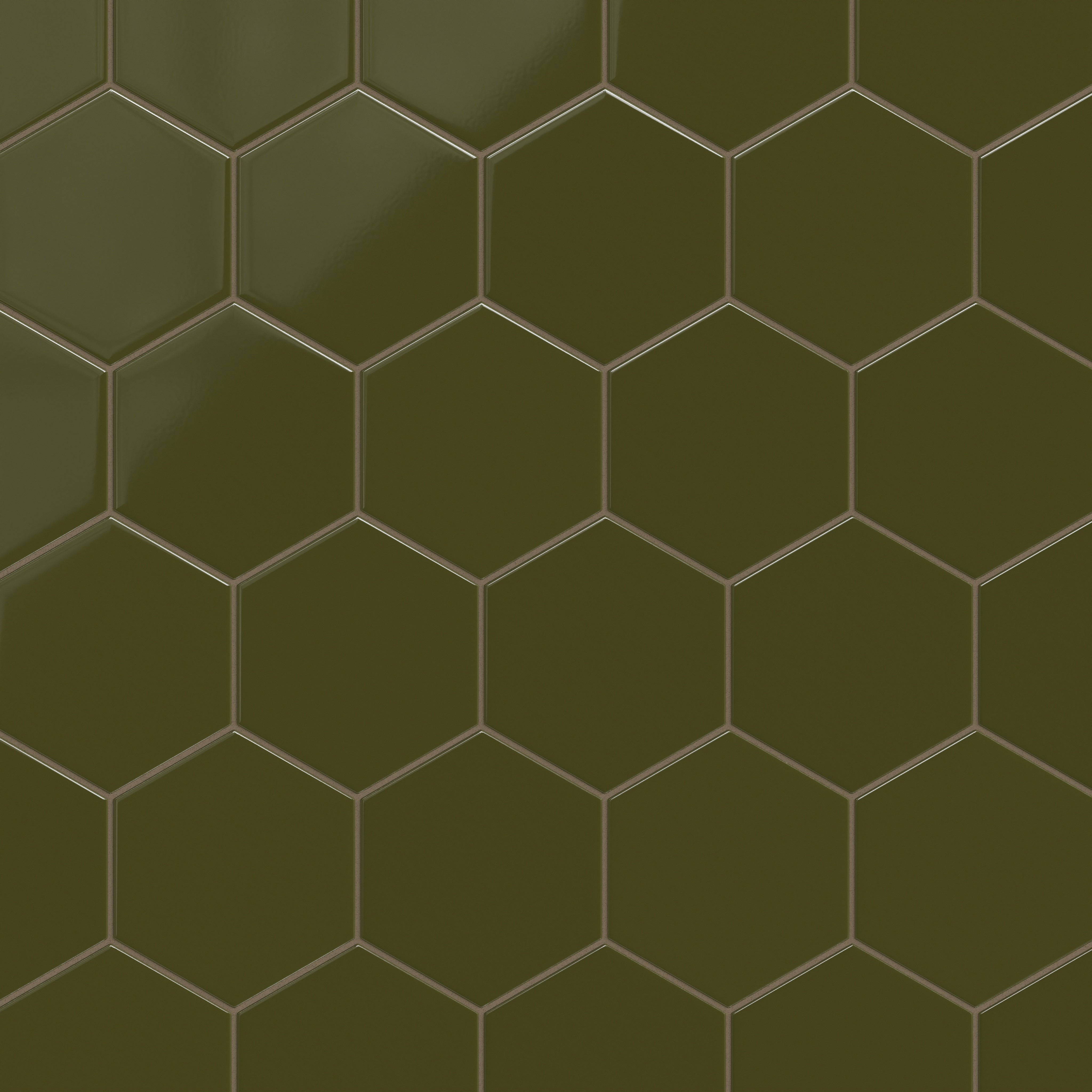 8" Hexagon Original Ceramic Tile in Bonsai Gloss