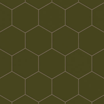 6" Hexagon Original Ceramic Tile in Bonsai Matte