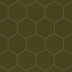 6" Hexagon Original Ceramic Tile in Bonsai Matte