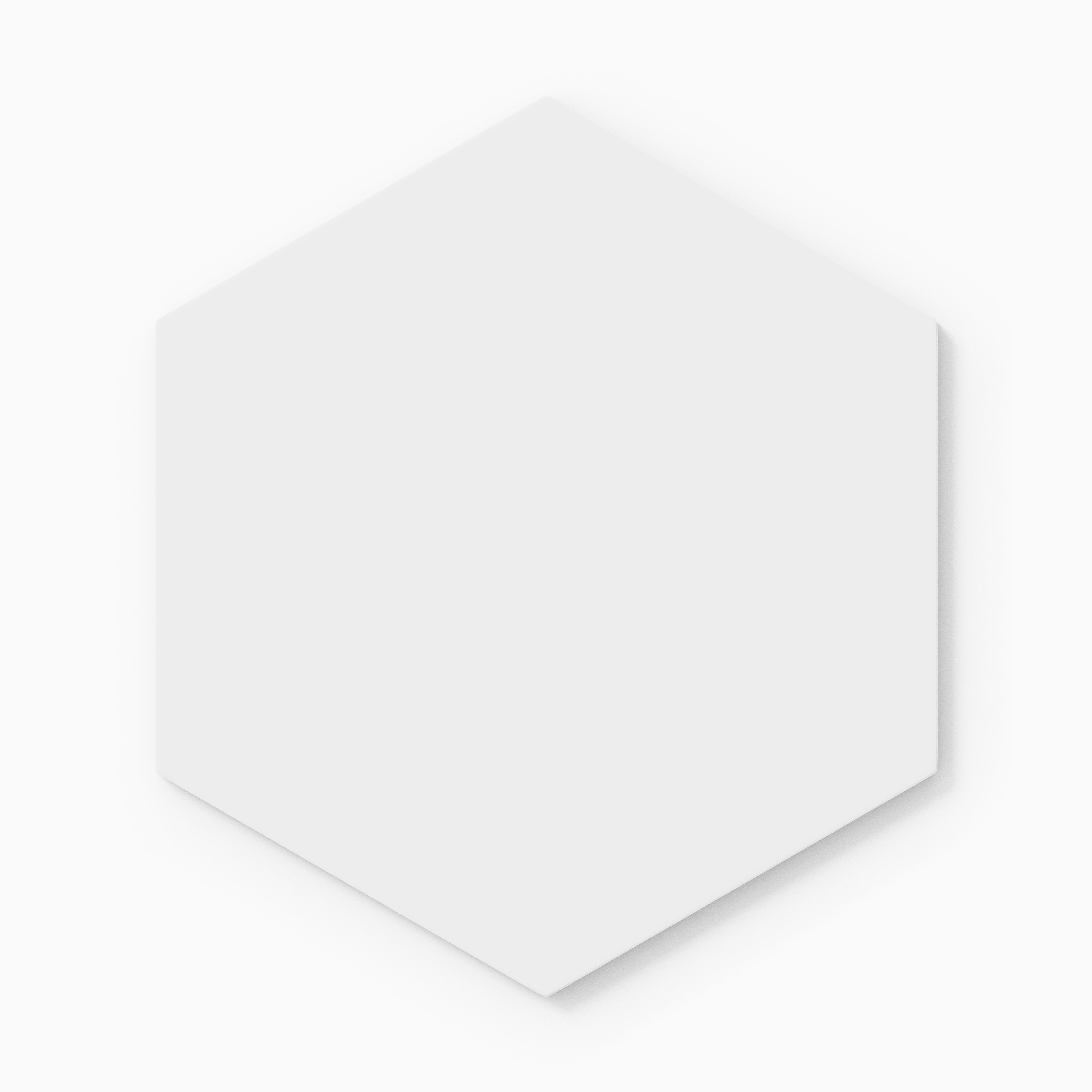 8" Hexagon Natural Press Ceramic Tile in Salt Creek Matte