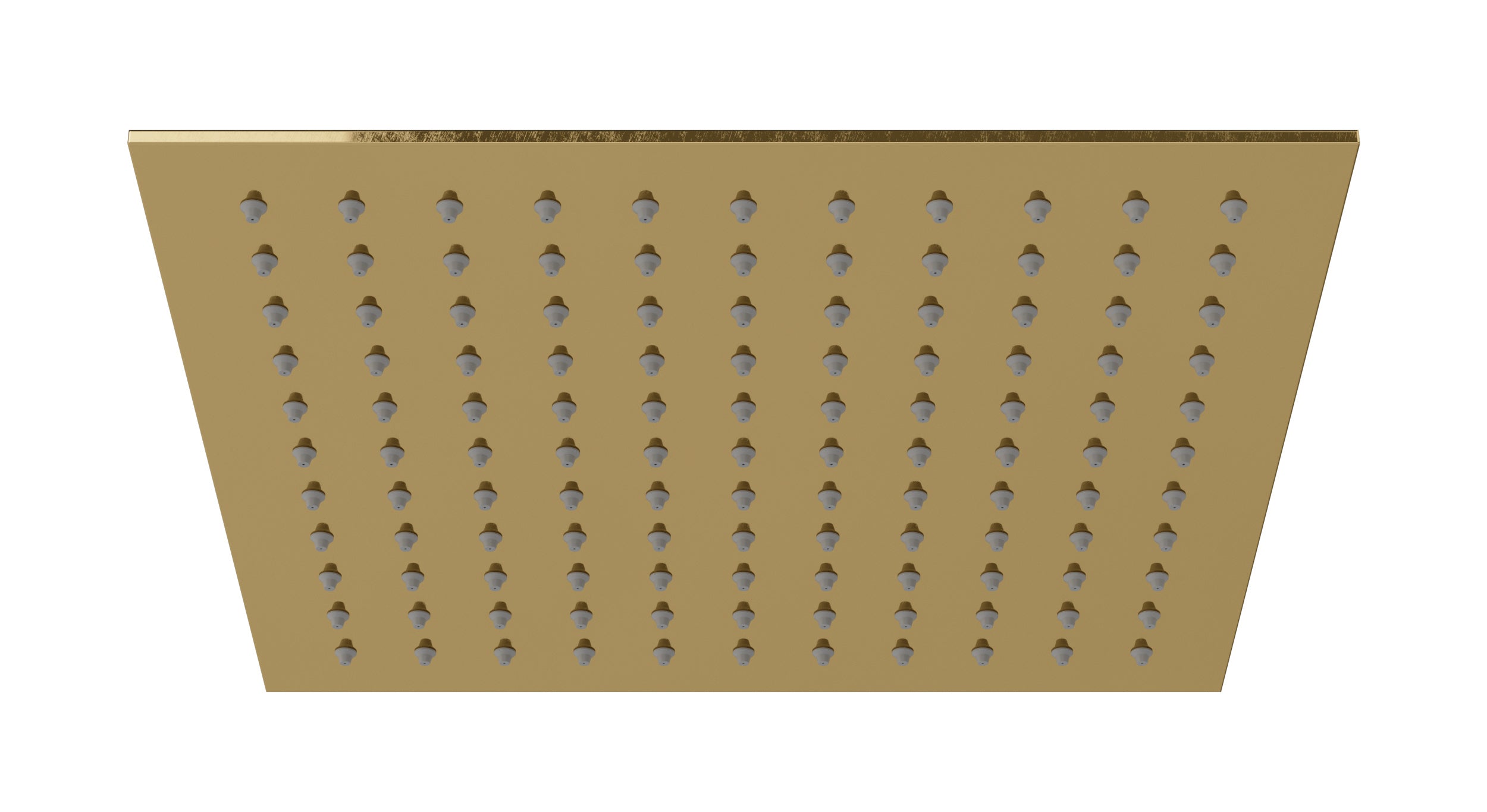 Flatiron 12" Shower Head in Uncoated Polished Brass