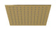 Flatiron 12" Shower Head in Uncoated Polished Brass