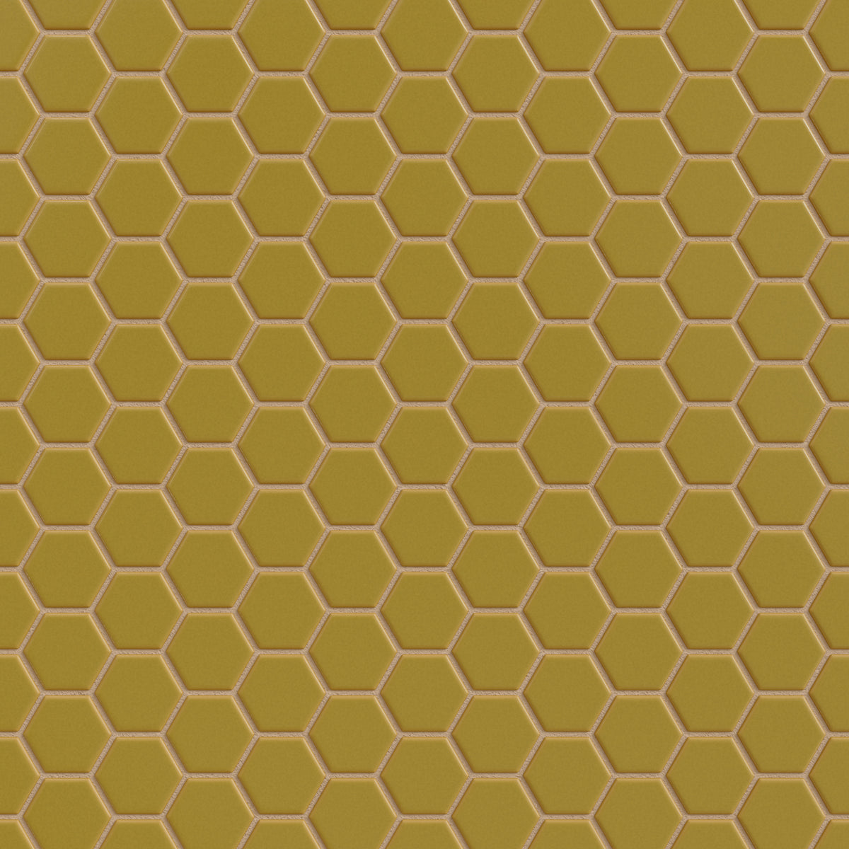 Mustard Seed 1