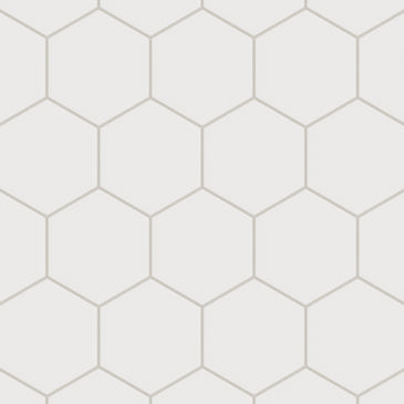 6" Hexagon Original Ceramic Tile in Calcite Matte