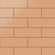 4x12 Glass Tile in Carolina Wren Matte