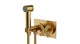 Contour One Handle Wall Mount Bidet Trim with Soft Cross Handle in Satin Brass