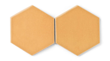 8" Hexagon Original Ceramic Tile in Koi Gloss